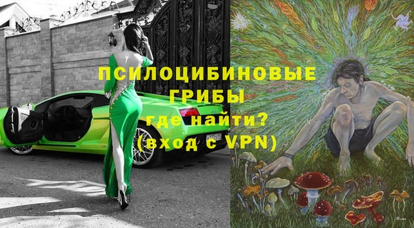 СК Волосово