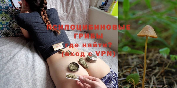 СК Волосово