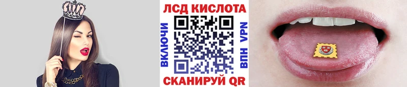 Марки N-bome 1,8мг  где найти   Кедровый 