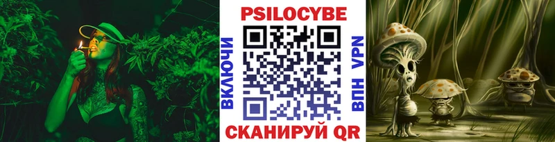 Галлюциногенные грибы MAGIC MUSHROOMS  что такое наркотик  Кедровый 